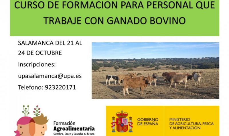 CARTEL BIENESTAR