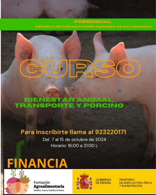 FITOSANITARIOS