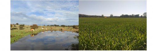 8fe0edb614c256c7e5f6afbfec792f6e57c74da0