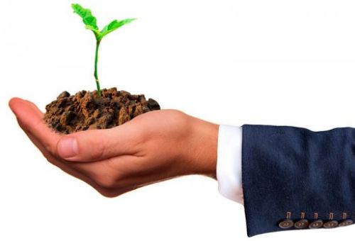 seguros agrarios ganaderos