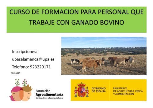 curso bienestar bovino