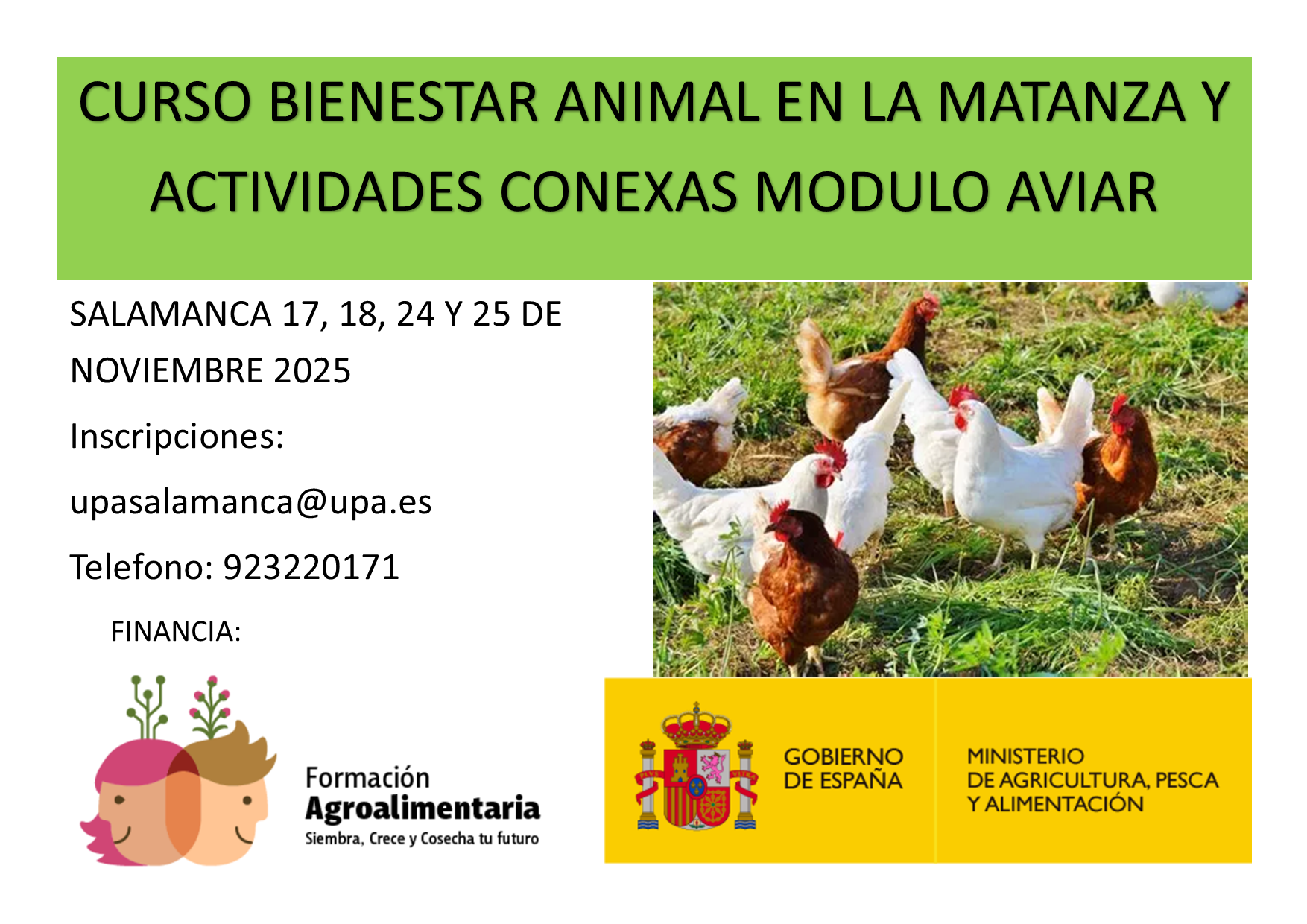 CURSO BIENESTAR ANIMAL EN LA MATANZA Y ACTIVIDADES CONEXAS