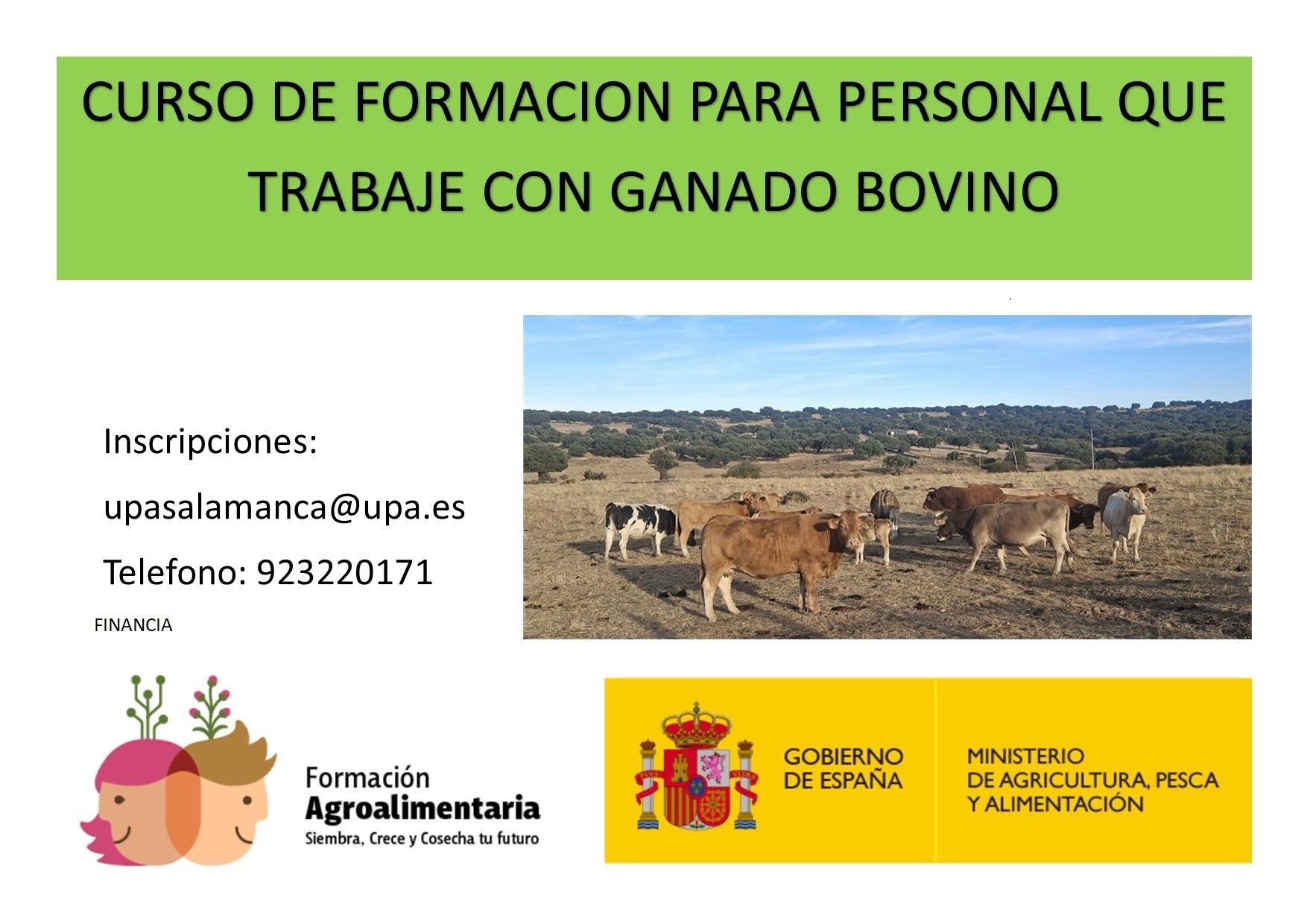curso bienestar bovino
