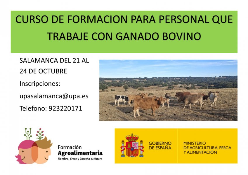 CARTEL BIENESTAR
